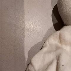 Kuscheltier, gemeldet von De Efteling über iLost