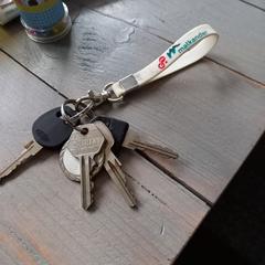 Sleutelbos, iLost에 보고됨