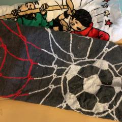 Törülköző handiek, amint azt Familie Resort Molenwaard az iLost segítségével jelentette.