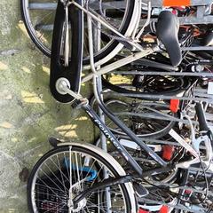 Bicicleta feminina Pointer, segundo informou Stadswerk072 usando iLost