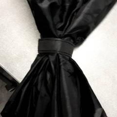 Parapluie Zwart, a été signalé par Arriva Friesland / Groningen utilisant iLost