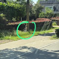 Fiets a été signalé sur iLost