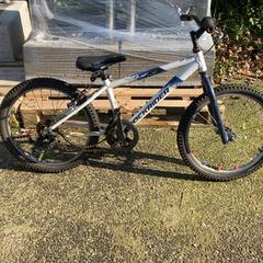 Bicicleta para crianças Wit Rockrider, como reportado por Gemeente Oirschot utilizando o iLost