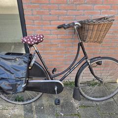 Damesfiets, as reported to iLost