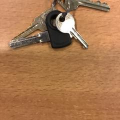 Sleutels, som rapportert av Gemeente Amsterdam ved bruk av iLost