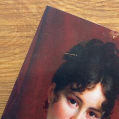 Livro, como reportado por GVB utilizando o iLost