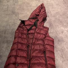 Dzseki, amint azt Van der Valk Hotel Haarlem az iLost segítségével jelentette.