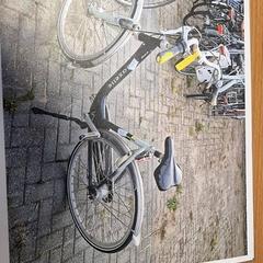 Női kerékpár, amint azt Gemeente Roermond az iLost segítségével jelentette.