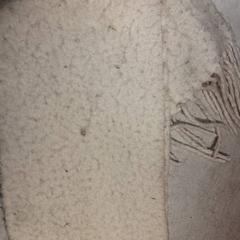 Chal, ha sido reportado por Qbuzz DMG con iLost