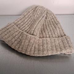 Mössa, rapporterat av Keolis Lund med iLost