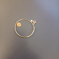 Armbandje  Roze goud, as reported by RAI Amsterdam using iLost