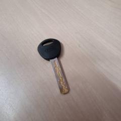 Chave da bicicleta, segundo informou Gemeente Renkum usando iLost