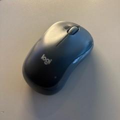 Muis, zgłoszono przez Van der Valk Hotel ARA przy użyciu iLost