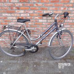 Bicicleta Thompson, paars en grijs, dames, ha sido reportado por Fietsdepot Leopoldsburg con iLost