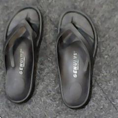 Slippers Genuiys, amint azt SnowWorld Landgraaf az iLost segítségével jelentette.