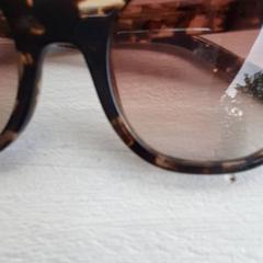 Gafas de sol Bruin, segundo informou DierenPark Amersfoort usando iLost