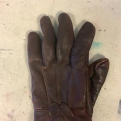 Hansker Leer, som rapportert av Artis ved bruk av iLost