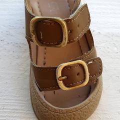 Bota Bruin met gouden gespjes, jak nahlášeno DierenPark Amersfoort pomocí iLost