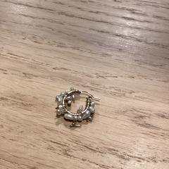 Örhänge, rapporterat av Poppodium 013 med iLost