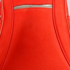 Backpack, as reported by Regio Antwerpen - Brussel using iLost