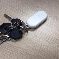 Sleutels, iLost를 사용하여 Gemeente Arnhem에 보고됨