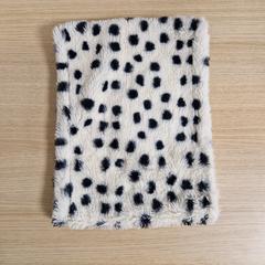 Sjaal, amint azt Pathé Leeuwarden az iLost segítségével jelentette.