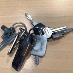 Steutelbos, como reportado por Gemeente Gooise Meren utilizando o iLost