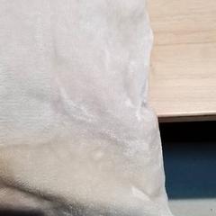 Coixí, segons ha informat Beekse Bergen Resorts en Hotel mitjançant iLost