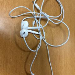 Oortjes Wit, ako bolo nahlásené VITAZ campus Sint-Niklaas pomocou iLost