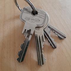 Sleutelbos, ako bolo nahlásené iLost