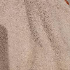 Knuffel, as reported by De Efteling using iLost