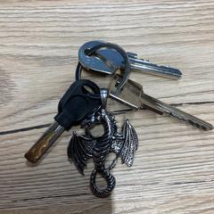 Sleutelbos, as reported by Pathé Delft using iLost