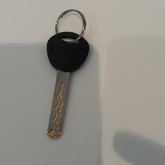 Nyckel, rapporterat av Arriva Limburg Zuid med iLost