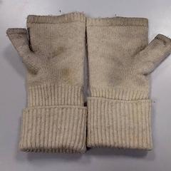 Kesztyű Wit, amint azt Vrije Universiteit Amsterdam az iLost segítségével jelentette.