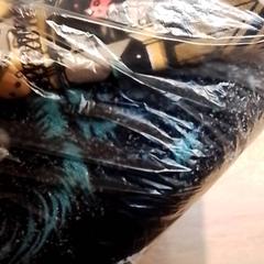 Vestidos Trui en onderbroek, ha sido reportado por Beekse Bergen Resorts en Hotel con iLost