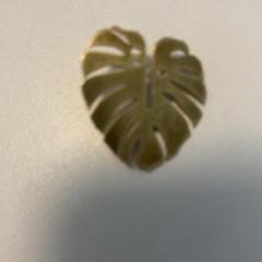 Jokoa, gisa salatu by Fenix iLost erabiliz