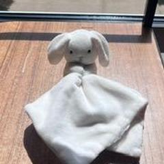حيوان محشو Bunny، كما تم الإبلاغ عنه بواسطة Hotel Apeldoorn عبر iLost
