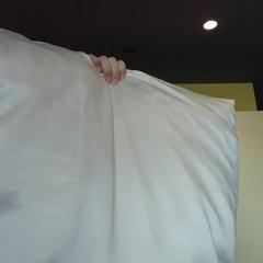 Cushion, as reported by MEININGER Hotel Lyon Centre Berthelot using iLost