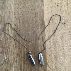 Zilveren kettinkje met twee zilveren Clips, segundo informou a iLost
