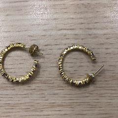 Pendientes Goud, ha sido reportado por Gemeente Arnhem con iLost