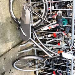 Women’s bike Cortina Grijs, as reported by Stadswerk072 using iLost