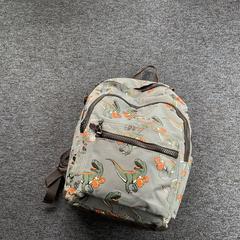 Motxilla, segons ha informat Breng Arnhem mitjançant iLost