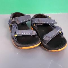 Sandaaltjes, zgłoszono przez Diergaarde Blijdorp przy użyciu iLost