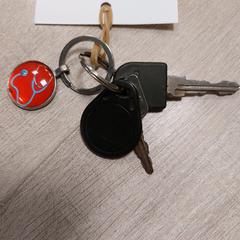 Sleutelbos, gisa salatu by RRReis Trein Amersfoort / Ede-Wageningen iLost erabiliz