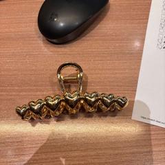 Spona do vlasů Haarclip, jak nahlášeno Van der Valk Hotel Deventer pomocí iLost