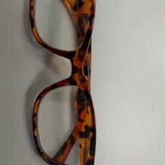 Lesebrille, gemeldet von Regio West-Vlaanderen über iLost