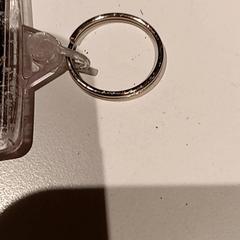 Attractiefoto carnaval festival, gemeldet von De Efteling über iLost