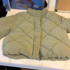 Veste, a été signalé par Artis utilisant iLost