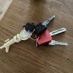 Sleutelbos met 3 sleutels en witte musketonhaak، كما تم الإبلاغ عنه عبر iLost