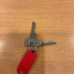 Sleutels, a été signalé par Gemeente Amsterdam utilisant iLost